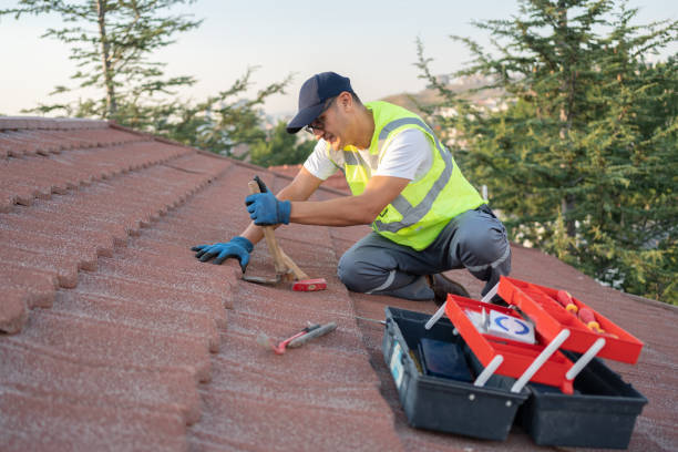 Best Roof Leak Repair  in Brooklyn, WI